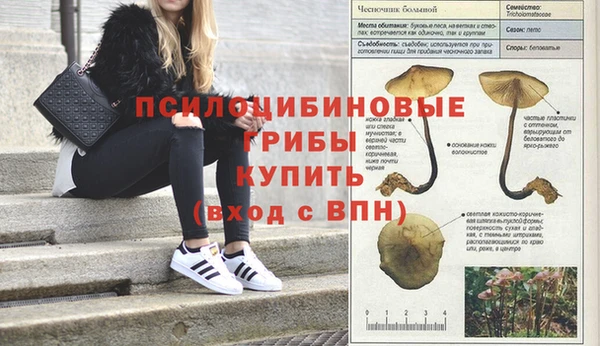 тгк Арсеньев