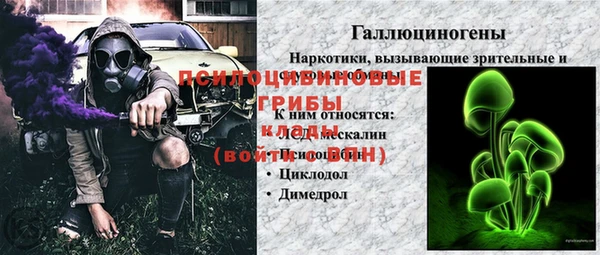 спайс Аркадак
