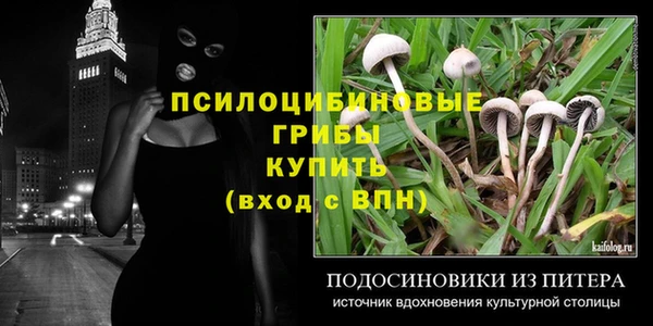 МДПВ Армянск