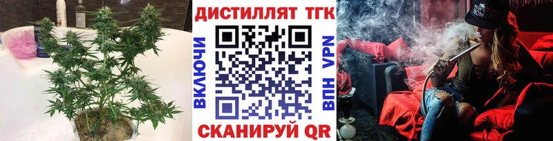 дарнет шоп  Сосновка  блэк спрут   Дистиллят ТГК THC oil 